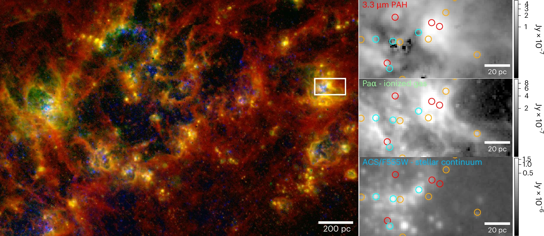 Cover image for the paper